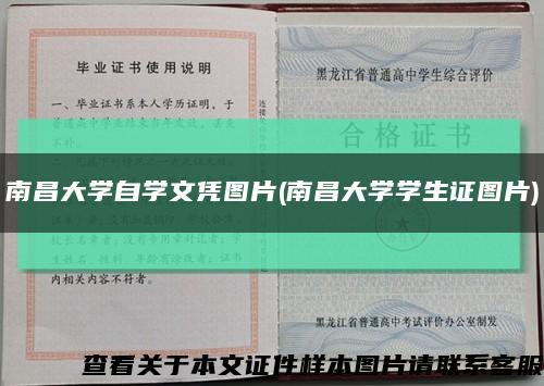 南昌大学自学文凭图片(南昌大学学生证图片)缩略图