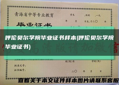 呼伦贝尔学院毕业证书样本(呼伦贝尔学院毕业证书)缩略图