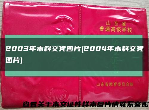 2003年本科文凭图片(2004年本科文凭图片)缩略图