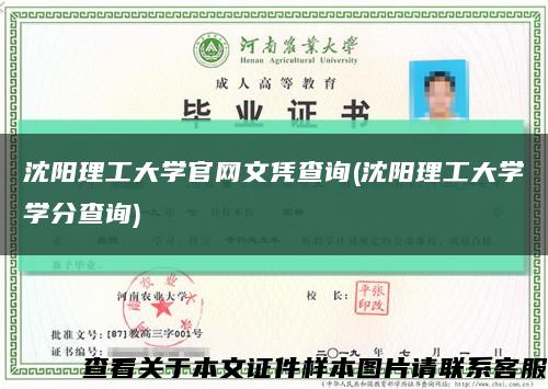 沈阳理工大学官网文凭查询(沈阳理工大学学分查询)缩略图