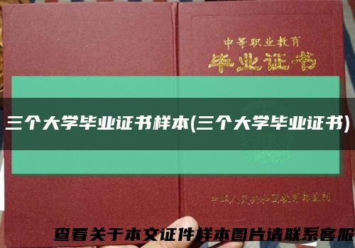 三个大学毕业证书样本(三个大学毕业证书)缩略图