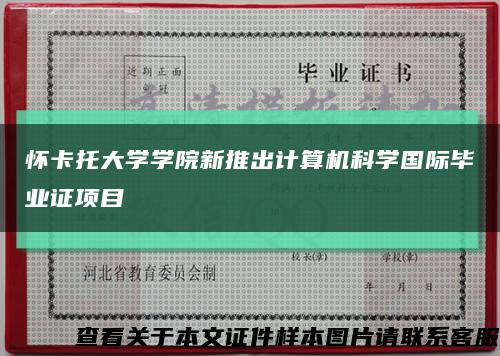 怀卡托大学学院新推出计算机科学国际毕业证项目缩略图