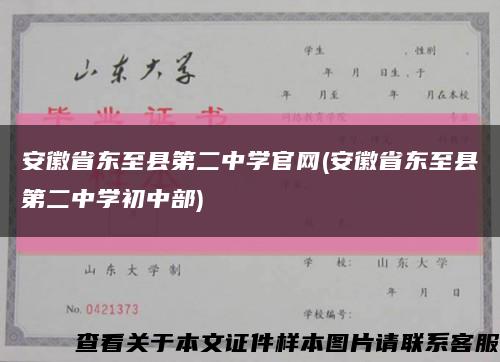 安徽省东至县第二中学官网(安徽省东至县第二中学初中部)缩略图