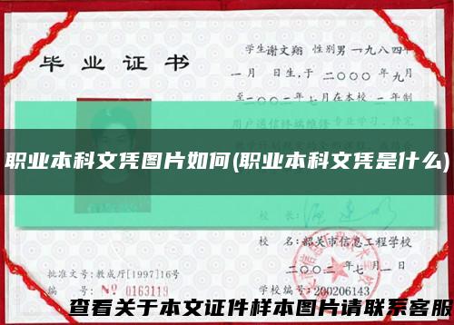 职业本科文凭图片如何(职业本科文凭是什么)缩略图