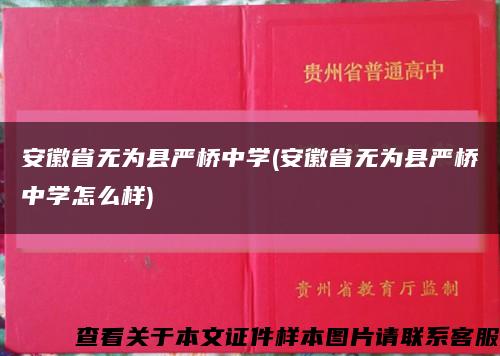 安徽省无为县严桥中学(安徽省无为县严桥中学怎么样)缩略图