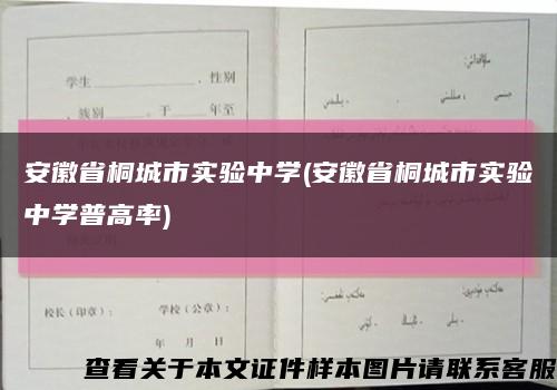 安徽省桐城市实验中学(安徽省桐城市实验中学普高率)缩略图