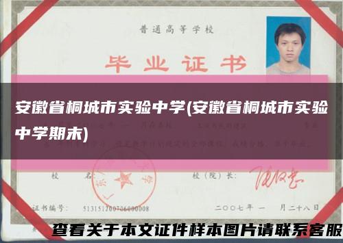 安徽省桐城市实验中学(安徽省桐城市实验中学期末)缩略图