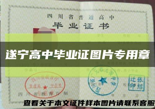 遂宁高中毕业证图片专用章缩略图