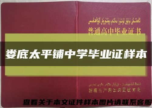 娄底太平铺中学毕业证样本缩略图