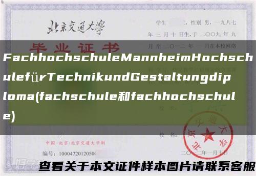 FachhochschuleMannheimHochschulefürTechnikundGestaltungdiploma(fachschule和fachhochschule)缩略图