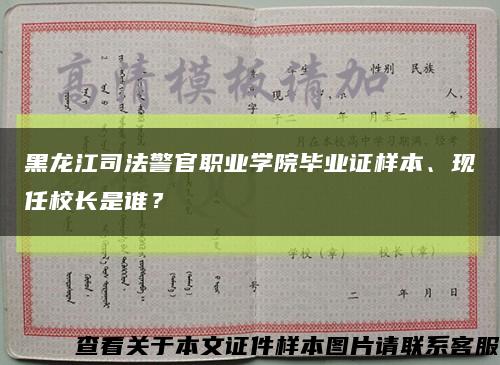 黑龙江司法警官职业学院毕业证样本、现任校长是谁？缩略图