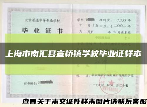 上海市南汇县宣桥镇学校毕业证样本缩略图