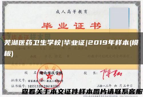 芜湖医药卫生学校|毕业证|2019年样本(模板)缩略图