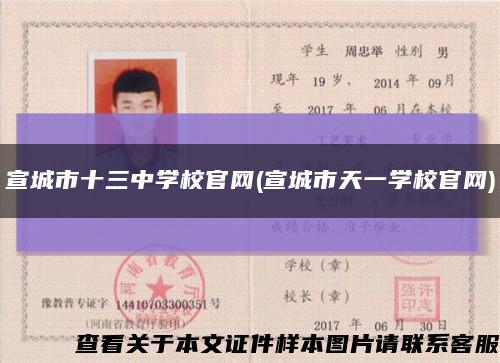 宣城市十三中学校官网(宣城市天一学校官网)缩略图