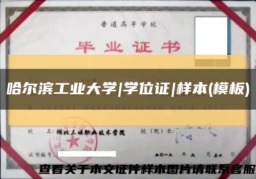 哈尔滨工业大学|学位证|样本(模板)缩略图