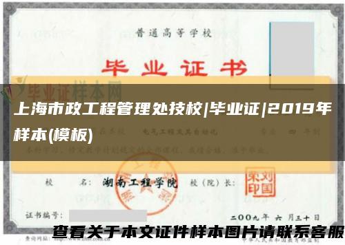 上海市政工程管理处技校|毕业证|2019年样本(模板)缩略图