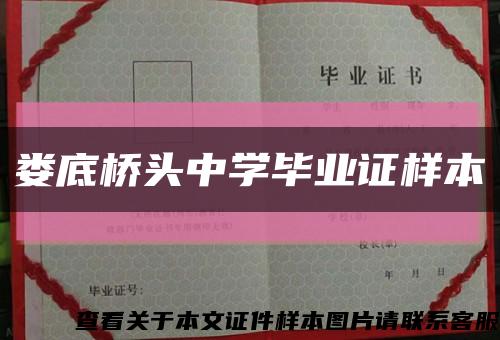 娄底桥头中学毕业证样本缩略图