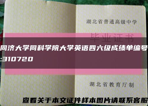 同济大学同科学院大学英语四六级成绩单编号:310720缩略图