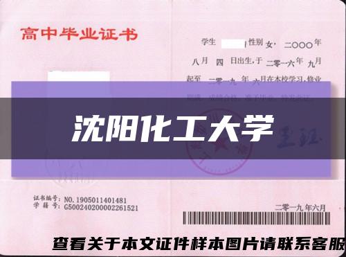 沈阳化工大学缩略图