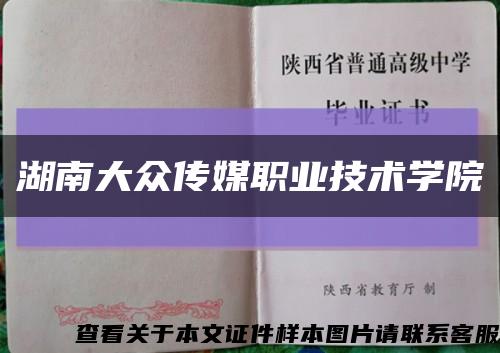 湖南大众传媒职业技术学院缩略图