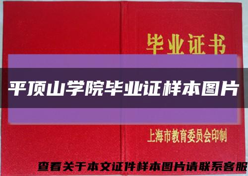 平顶山学院毕业证样本图片缩略图