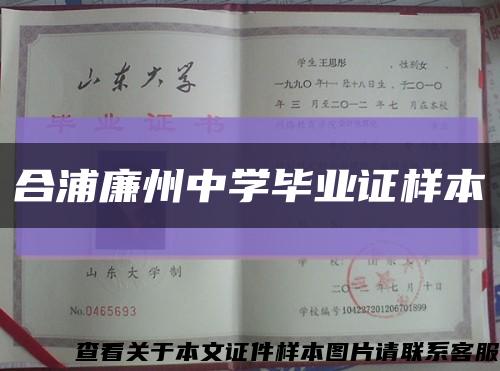 合浦廉州中学毕业证样本缩略图