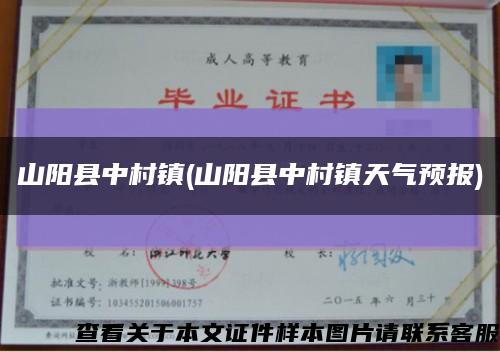 山阳县中村镇(山阳县中村镇天气预报)缩略图
