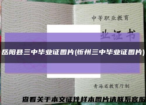 岳阳县三中毕业证图片(忻州三中毕业证图片)缩略图