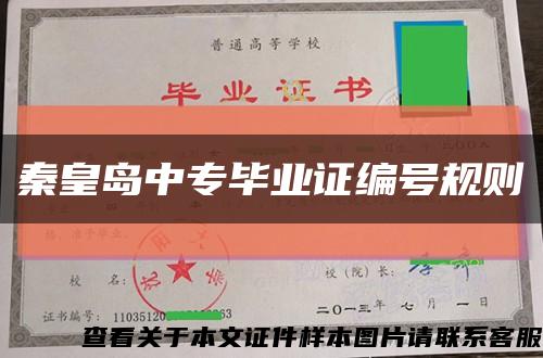 秦皇岛中专毕业证编号规则缩略图