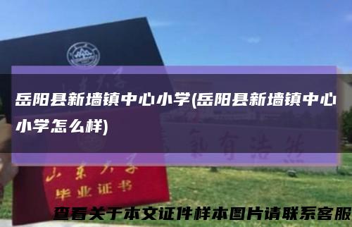 岳阳县新墙镇中心小学(岳阳县新墙镇中心小学怎么样)缩略图