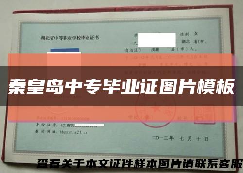 秦皇岛中专毕业证图片模板缩略图