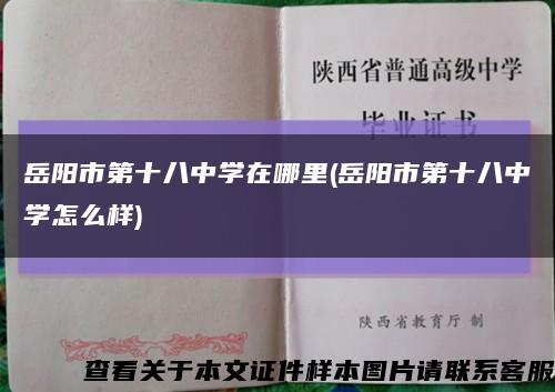 岳阳市第十八中学在哪里(岳阳市第十八中学怎么样)缩略图