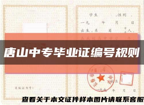 唐山中专毕业证编号规则缩略图