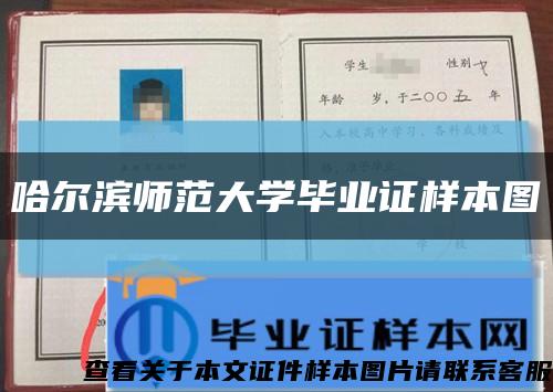 哈尔滨师范大学毕业证样本图缩略图