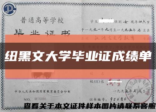 纽黑文大学毕业证成绩单缩略图