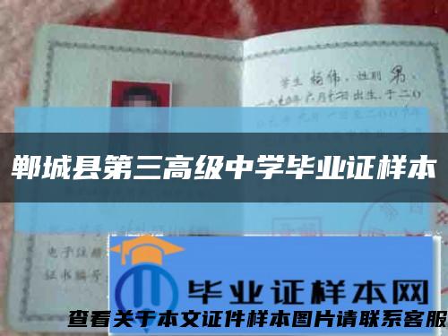 郸城县第三高级中学毕业证样本缩略图