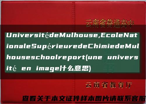 UniversitédeMulhouse,EcoleNationaleSupérieuredeChimiedeMulhouseschoolreport(une université en image什么意思)缩略图