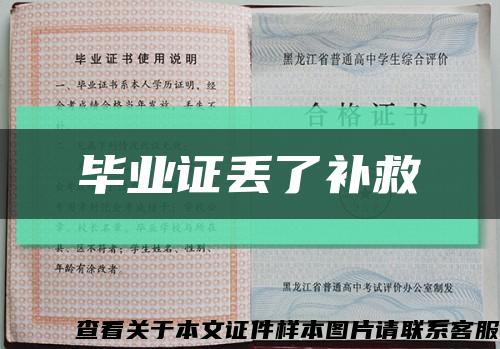 毕业证丢了补救缩略图