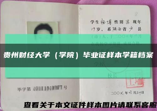 贵州财经大学（学院）毕业证样本学籍档案缩略图