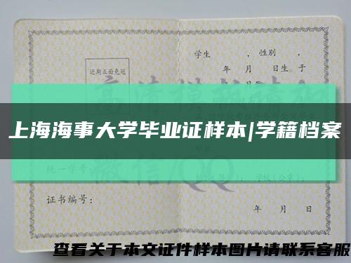 上海海事大学毕业证样本|学籍档案缩略图