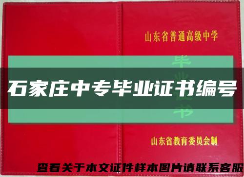 石家庄中专毕业证书编号缩略图