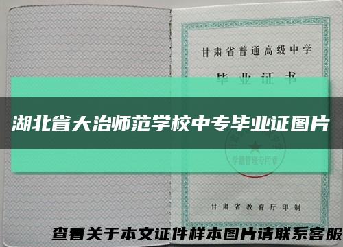 湖北省大治师范学校中专毕业证图片缩略图