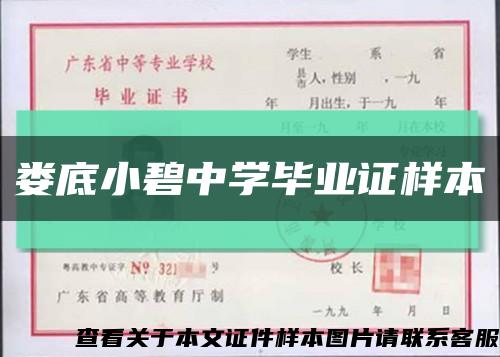 娄底小碧中学毕业证样本缩略图