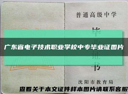 广东省电子技术职业学校中专毕业证图片缩略图