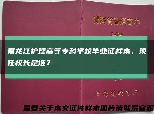 黑龙江护理高等专科学校毕业证样本、现任校长是谁？缩略图