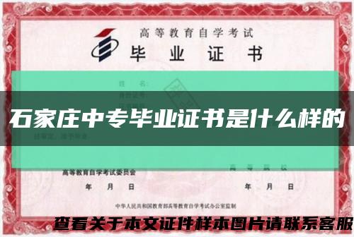 石家庄中专毕业证书是什么样的缩略图