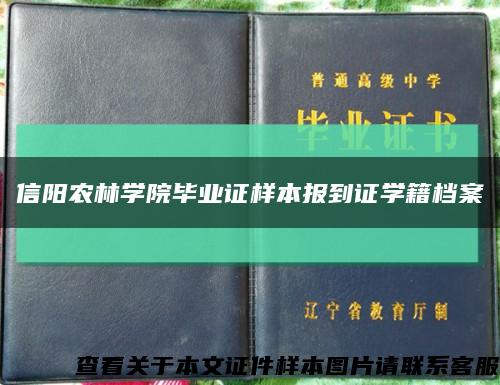 信阳农林学院毕业证样本报到证学籍档案缩略图