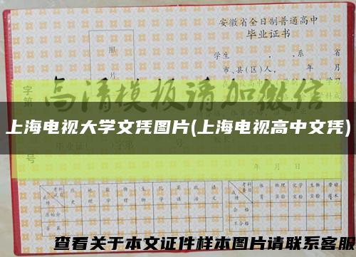 上海电视大学文凭图片(上海电视高中文凭)缩略图