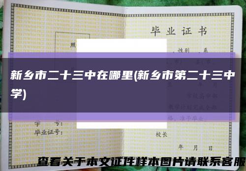 新乡市二十三中在哪里(新乡市第二十三中学)缩略图