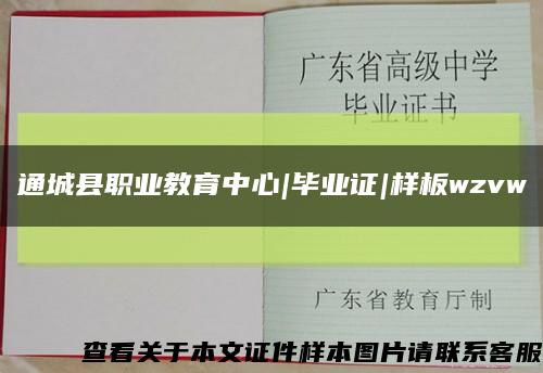 通城县职业教育中心|毕业证|样板wzvw缩略图